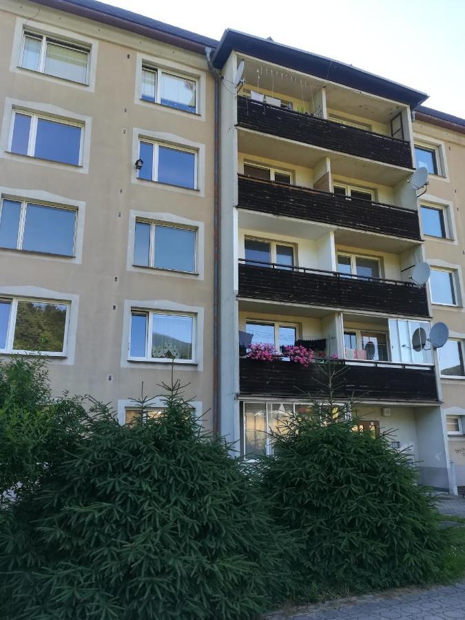 Apartman 21 Διαμέρισμα Loučná nad Desnou Εξωτερικό φωτογραφία